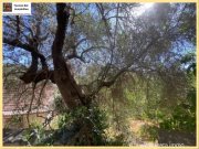 Armenoi Kreta, Armonoi - renovierungsbedürftiges, traditionelles Dorfhaus Haus kaufen